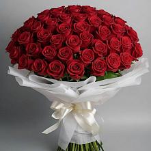 Букет 101 Красная роза Блэк Мэджик в Красном Холме Тверской области