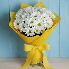 Букет цветов из:  Хризантемы #REPLACE_PRED# Красном Холме Тверской области