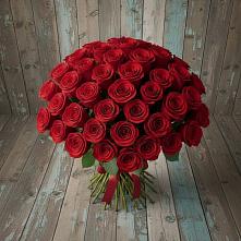 Букет 55 Красных роз Фридом #REPLACE_PRED# Красном Холме Тверской области