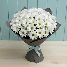 Букет цветов из:  Хризантемы в Красном Холме Тверской области