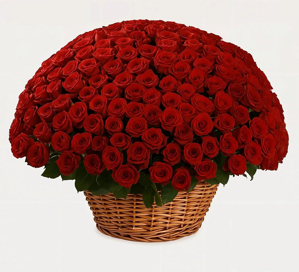 Премиум букет из: Розы в Красном Холме Тверской области