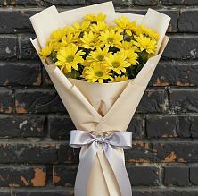 Букет цветов из:  Хризантемы в Красном Холме Тверской области