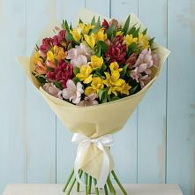 Букет цветов из:  Альстромерии #REPLACE_PRED# Красном Холме Тверской области