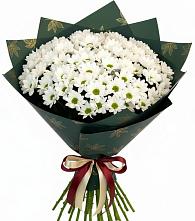 Букет цветов из:  Хризантемы в Красном Холме Тверской области