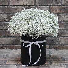 Цветочная композиция из Гипсофила в шляпной коробке в Красном Холме Тверской области