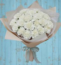 Букет цветов из:  Гвоздики в Красном Холме Тверской области