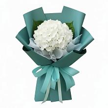 Букет цветов из:  Гортензия в Красном Холме Тверской области